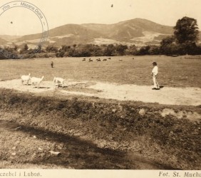 9.	Mszana Dolna, widok na okoliczne góry, pocztówka wysłana w 1931 r. do rodziny Schwitzerów do Wiednia, zbiory prywatne Helen Krag
