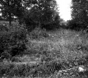 Wejście na cmentarz w 1961 r. Z archiwum Instytutu Yad Vaszem