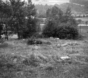Ogólny widok cmentarza w1961 r. Z archiwum Instytutu Yad Vaszem