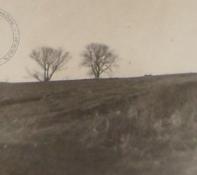 Miejsce mordu tuż po II wojnie światowej, widoczne 2 dęby, o których wspominali świadkowie. Fot. ze zbiorów rodziny Borgerów