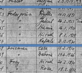The Federgr&uuml;n family on the list of victims of collective execution in Mszana Dolna on August 19, 1942