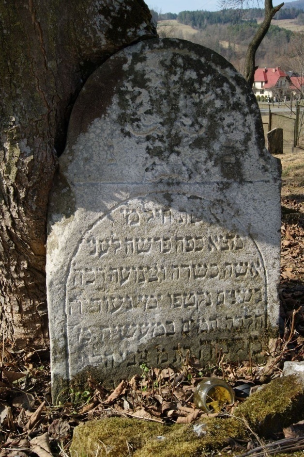 malka-bat-cwi-halewi